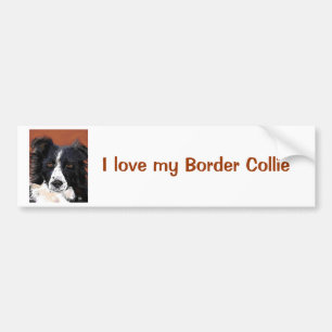 Coche Pegatina para el parachoques del border collie