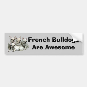 Coche Pegatina para el parachoques del bulldog francés
