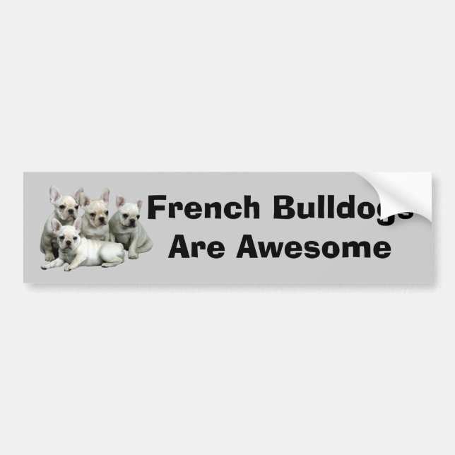 Coche Pegatina para el parachoques del bulldog francés (Frente)