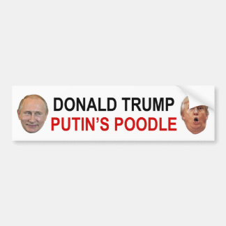 Coche Pegatina para el parachoques del caniche de Donald