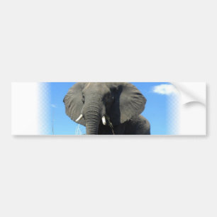 Coche Pegatina para el parachoques del elefante africano