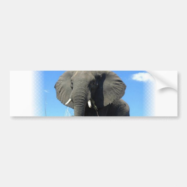 Coche Pegatina para el parachoques del elefante africano (Frente)