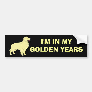Coche Pegatina para el parachoques del golden retriever