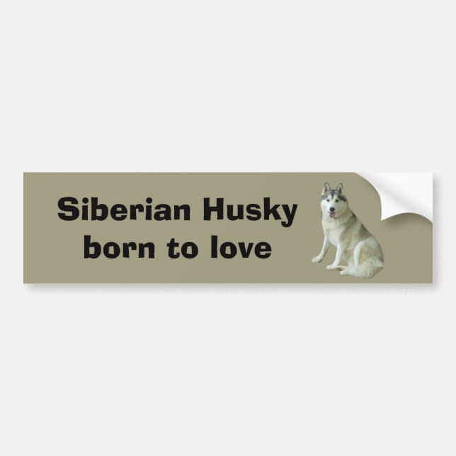 Coche Pegatina para el parachoques del husky siberiano (Frente)
