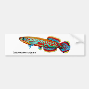 Coche Pegatina para el parachoques del Killifish de