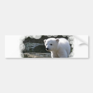 Coche Pegatina para el parachoques del oso polar del