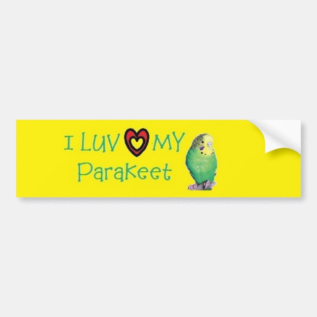 Coche Pegatina para el parachoques del Parakeet (Frente)