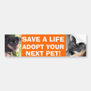 Coche Pegatina para el parachoques del perrito y del