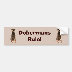 Coche Pegatina para el parachoques del Pinscher del