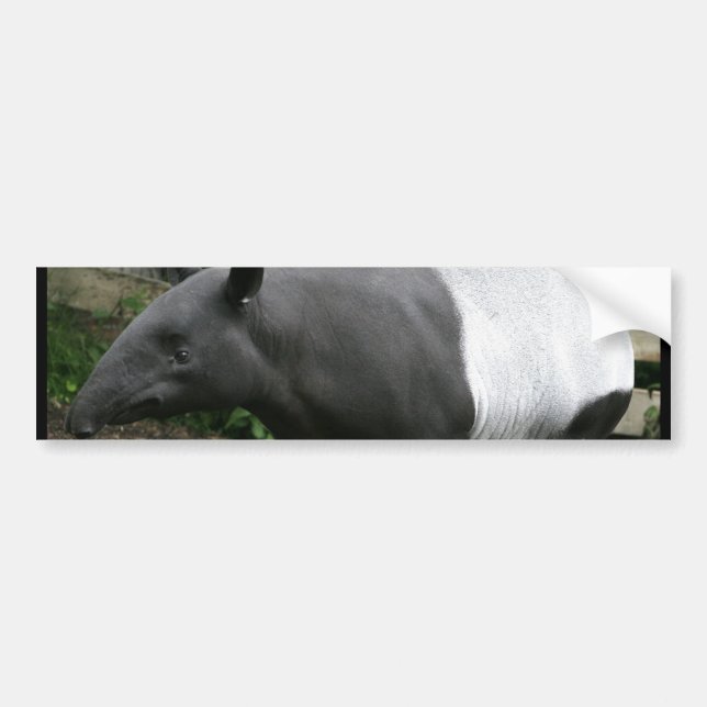 Coche Pegatina para el parachoques del Tapir malayo (Frente)