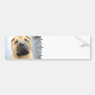 Coche Pegatina para el parachoques linda de Shar Pei