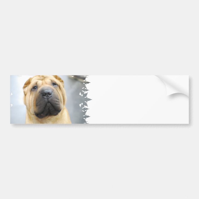 Coche Pegatina para el parachoques linda de Shar Pei (Frente)