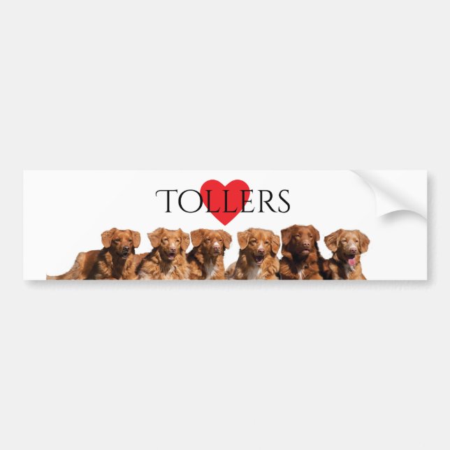 Coche Pegatina para el parachoques tocante del perro (Frente)