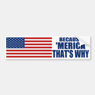 Coche PORQUE 'MERICA QUE ES PORQUÉ pegatina para el