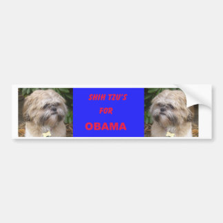 Coche Shih Tzu para la pegatina para el parachoques de