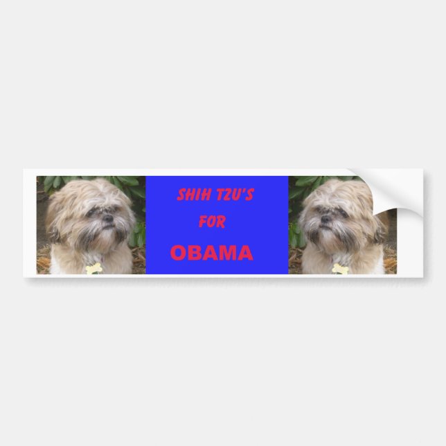 Coche Shih Tzu para la pegatina para el parachoques de (Frente)