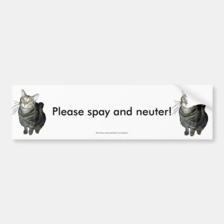 Coche "Spay y neutralice por favor" a la pegatina para