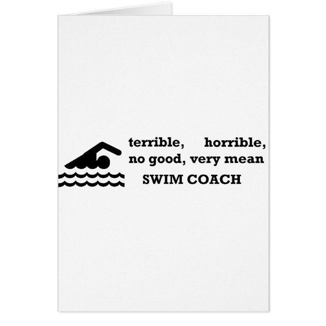 Coche terrible de la nadada (Frente)