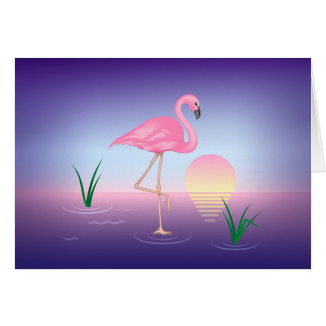 Coches Flamingo Rosados (Anverso (Horizontal))