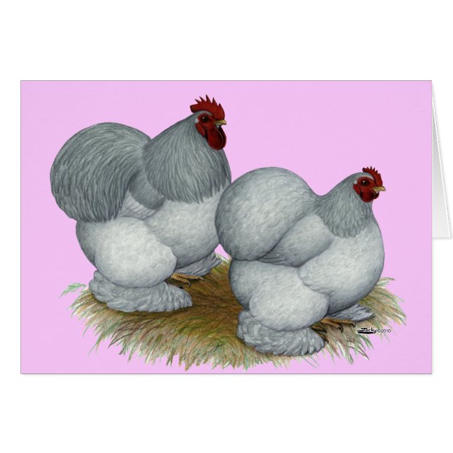 Cochin: Autoazul (Anverso (Horizontal))