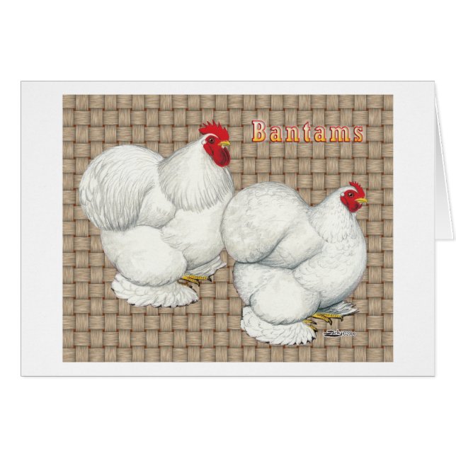 Cochin: Bantams blancos (Anverso (Horizontal))