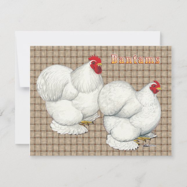 Cochin: Bantams blancos (Anverso)