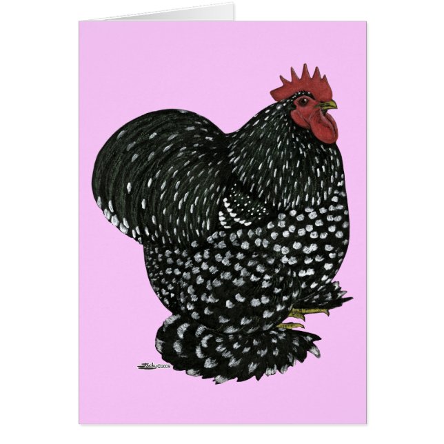 Cochin: Black Mottle (Frente)