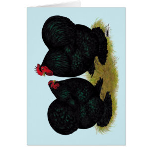 Cochins Black Bantam Pair