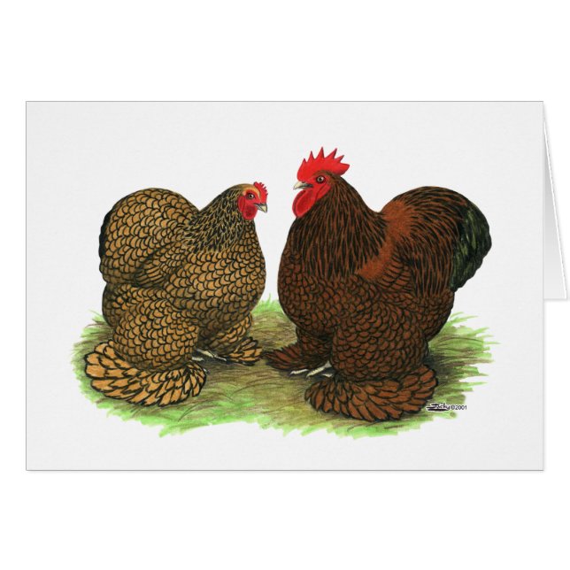 Cochins: De lacas doradas (Anverso (Horizontal))