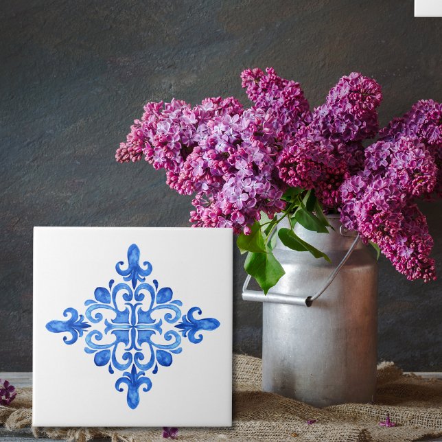 Cocina Azulejo española azul y portuguesa blanca (Subido por el creador)