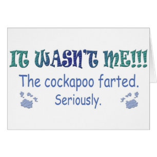Cockapoo
