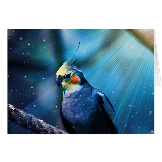 Cockatiel (Anverso (Horizontal))