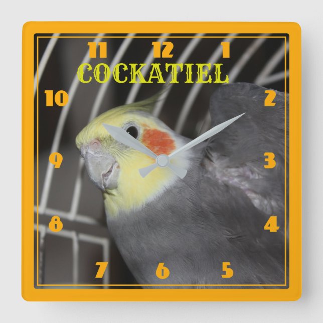 COCKATIEL cerrar Reloj cuadrado (Anverso)