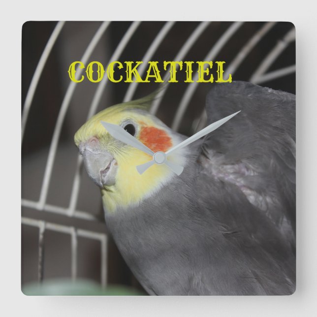 COCKATIEL cerrar Reloj cuadrado (Anverso)