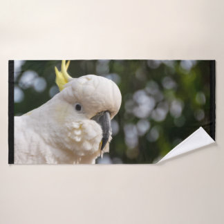 Cockatoo