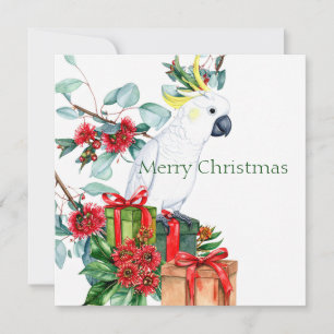 Cockatoo blanco presenta Feliz Navidad