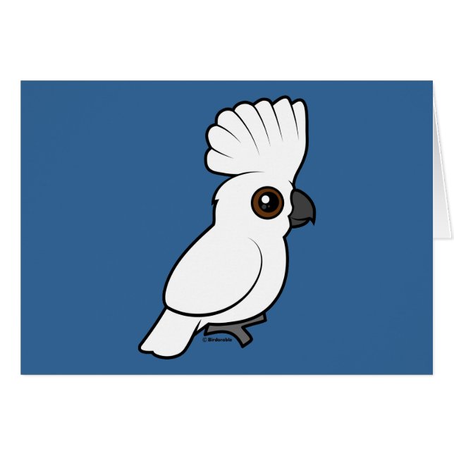 Cockatoo del paraguas (criado) (Anverso (Horizontal))