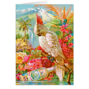 Cockatoo del vintage
