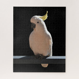 Cockatoo en Sundial Apartments Jigsaw Puzzle