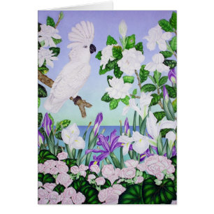 Cockatoo violeta