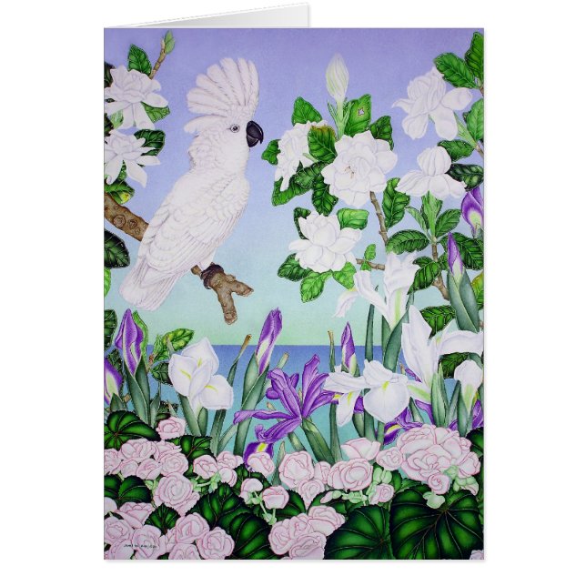 Cockatoo violeta (Frente)