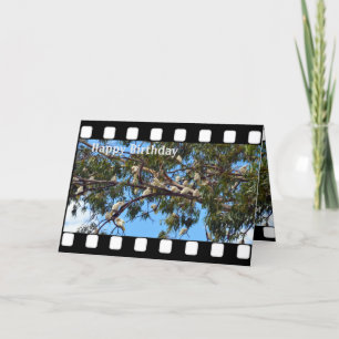 Cockatoos blancos australianos, tarjeta de cumplea