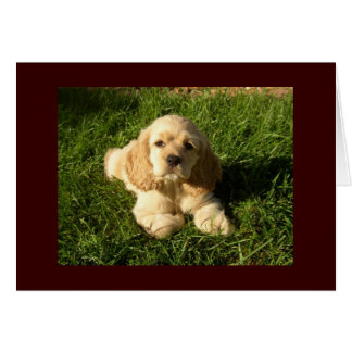 COCKER CORDABLE ENVÍA BUENOS DESEOS