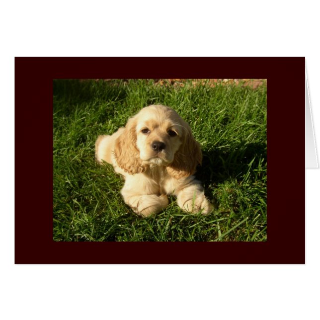 COCKER CORDABLE ENVÍA BUENOS DESEOS (Anverso (Horizontal))