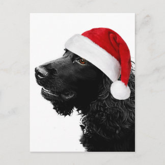 Cocker de las Felices Navidad