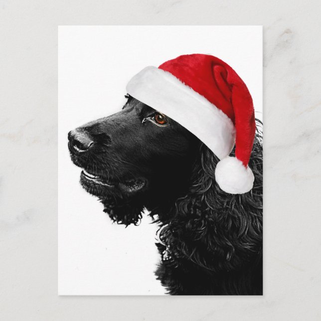 Cocker de las Felices Navidad (Anverso)