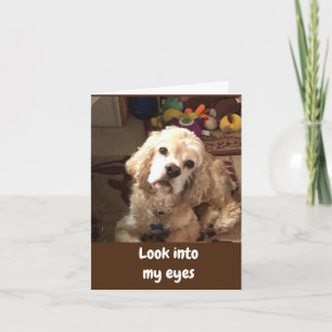 COCKER DICE *FELIZ TARJETA DE CUMPLEAÑOS*