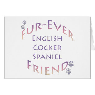 Cocker español Furever