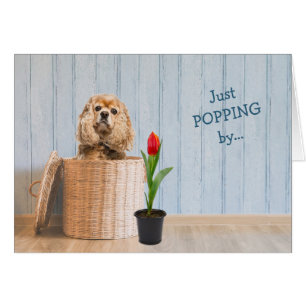 Cocker Spaniel en tarjeta de cumpleaños de cesta d