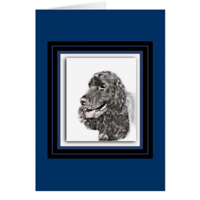 Cocker Spaniel inglés (Frente)